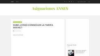 
                            8. SUBE ¿Cómo conseguir la TARIFA SOCIAL? | Asignaciones ANSES