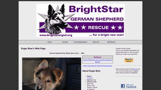 
                            10. Sugar Bear's Web Page - BrightStar German Shepherd Rescue