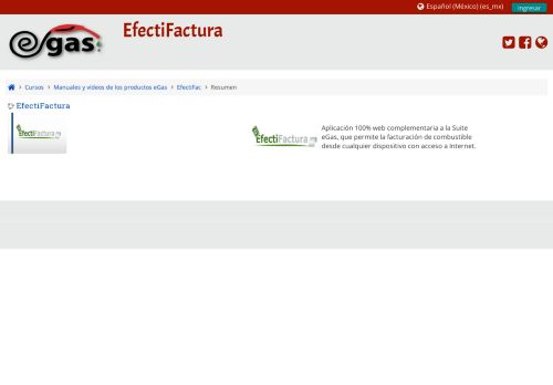 
                            12. Summary of EfectiFactura - eGas