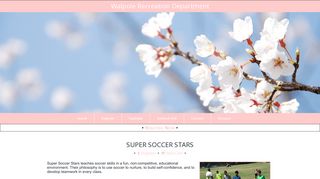
                            10. Super Soccer Stars - Walpole Recreation Department: Activity Details