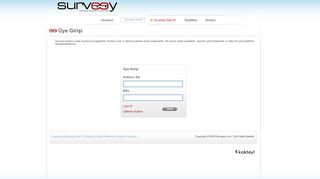 
                            3. Surveey.com, online anket sistemi