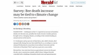 
                            13. Survey: Bee death increase may be tied to climate change | HeraldNet ...