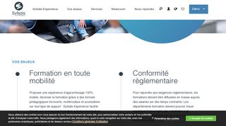 
                            5. Syfadis Experience - Solution de formation pour le développement ...