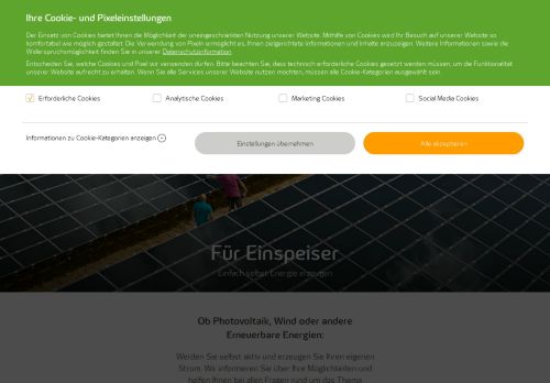
                            3. Syna GmbH - Einspeiser - alle Informationen im Überblick