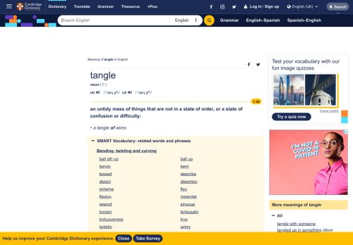 
                            9. TANGLE | meaning in the Cambridge English Dictionary