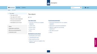 
                            5. Tax return - Belastingdienst