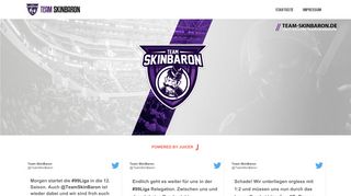 
                            12. Team SkinBaron – Das offizielle Team von SkinBaron.de