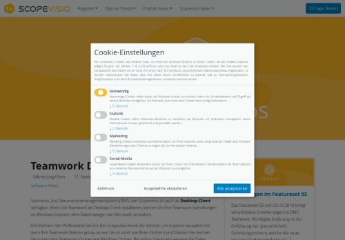 
                            4. Teamwork Desktop-Client - Scopevisio Blog
