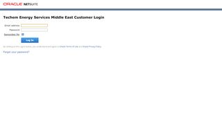 
                            3. Techem Energy Services Middle East Customer Login - NetSuite