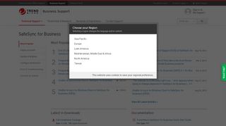 
                            2. Technical Support: SafeSync for Business - Trend Micro ...