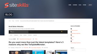 
                            9. Template Monster Review - Blog - Site Skills