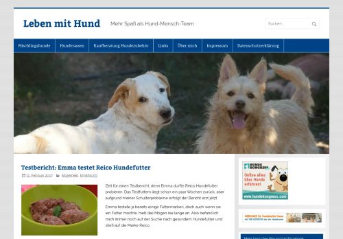 
                            13. Testbericht Reico Hundefutter: Gesundes Nass- und Trockenfutter