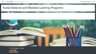 
                            4. Texila Distance and Blended Learning Programs