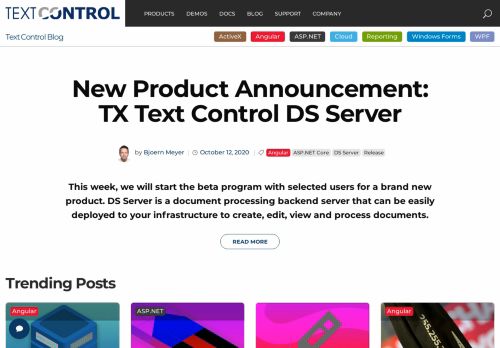 
                            6. Text Control Blog