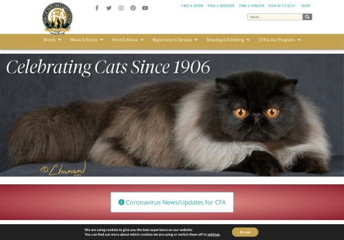 
                            3. The Cat Fanciers' Association - The World's Largest Registry for ...