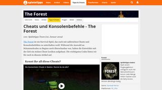 
                            10. The Forest: Cheats und Konsolenbefehle | spieletipps