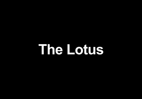 
                            9. The Lotus