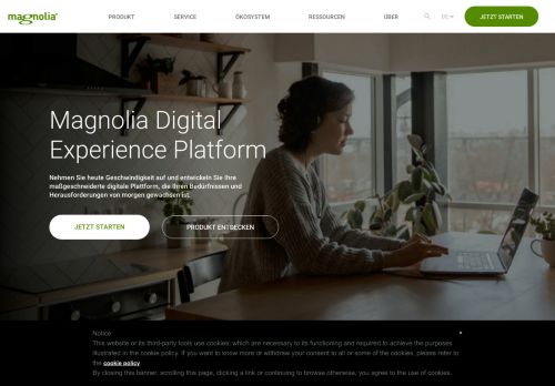 
                            9. The most flexible Java CMS | Magnolia Java CMS