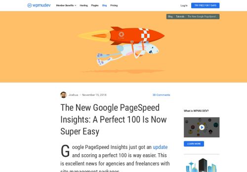 
                            7. The New Google PageSpeed Insights: A Perfect 100 Is Now Super ...