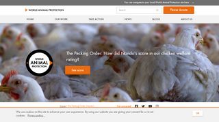 
                            10. The Pecking Order: Nando's | World Animal Protection International