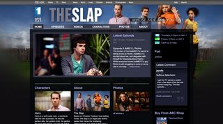 
                            13. The Slap - ABC TV