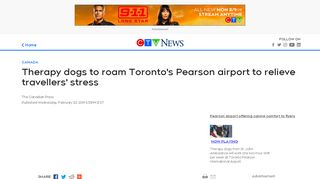 
                            9. Therapy dogs to roam Toronto's Pearson airport to relieve ... - CTV News