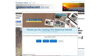 
                            7. Thirsty cows source own drinking water | The Gisborne Herald