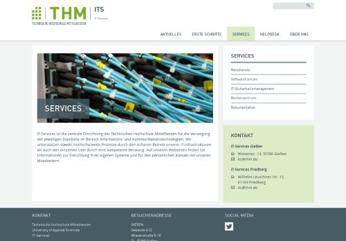 
                            9. THM IT Services - Services
