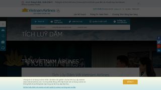 
                            4. Tích Luỹ Dặm - Vietnam Airlines