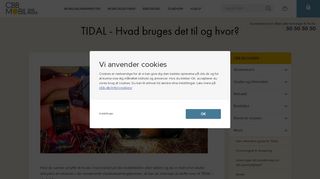 
                            8. TIDAL - Hvad bruges det til og hvor? - CBB