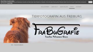 
                            11. Tierische Modelkartei - FraBuGrafie -Tierfotografie Freiburg