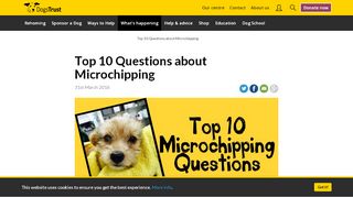 
                            7. Top 10 Questions about Microchipping | Dogs Trust