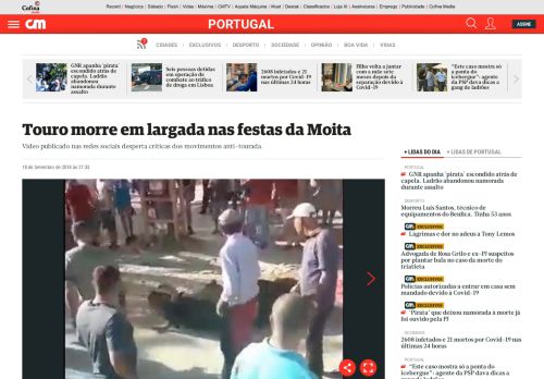 
                            13. Touro morre em largada nas festas da Moita - Portugal - Correio da ...