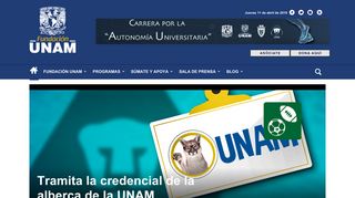 
                            5. Tramita la credencial de la alberca de la UNAM | Descubre Fundación ...