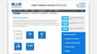 
                            4. Travel Insurance - Blue Insurance