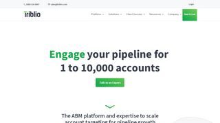 
                            11. Triblio | Account Based Marketing Platform