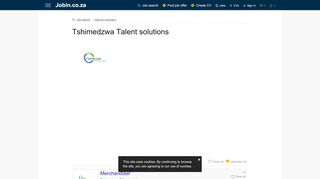 
                            4. Tshimedzwa Talent solutions - Jobin.co.za