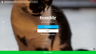 
                            3. Tumblr: Sign up
