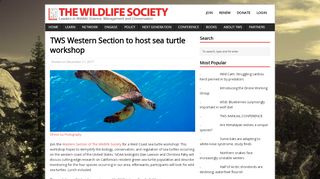 
                            12. TWS Western Section to host sea turtle workshop - The Wildlife Society