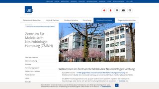 
                            2. UKE - Zentrum für Molekulare Neurobiologie Hamburg (ZMNH)