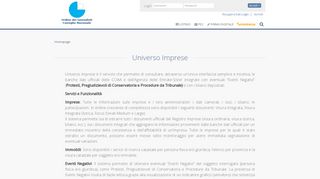 
                            10. Universo Imprese - Visura -Sessioni