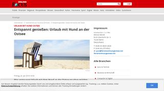 
                            8. Urlaub mit Hund an Ostsee | Hundefreundliche Unterkunft - FOCUS.de