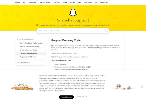 
                            11. Use your Recovery Code - Snapchat Support