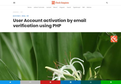 
                            8. User Account activation by email verification using PHP - ...