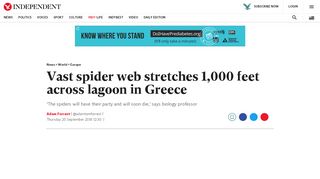 
                            10. Vast spider web stretches 1,000 feet across lagoon in Greece | The ...