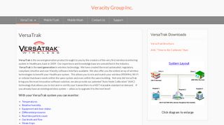 
                            3. Veracity Group Inc.