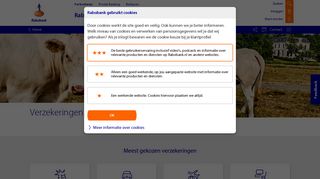 
                            10. Verzekering: online je verzekeringen afsluiten – Rabobank