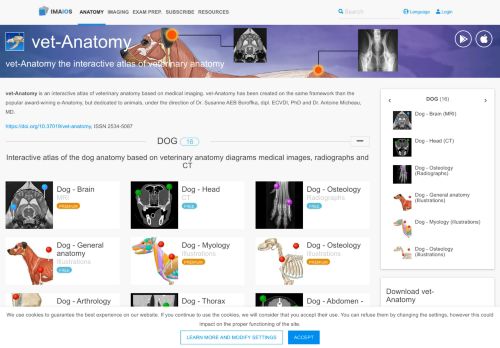 
                            6. vet-Anatomy - IMAIOS