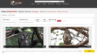 
                            12. Videos of Boreal Owl (Aegolius funereus) | the Internet Bird Collection ...