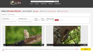
                            11. Videos of Eurasian Wryneck (Jynx torquilla) | the Internet Bird ...